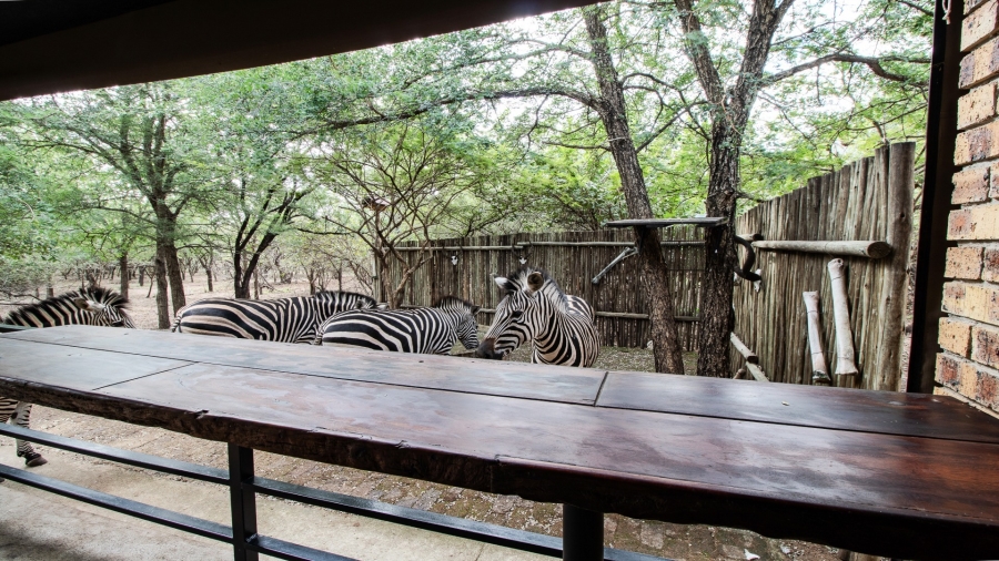 3 Bedroom Property for Sale in Marloth Park Mpumalanga