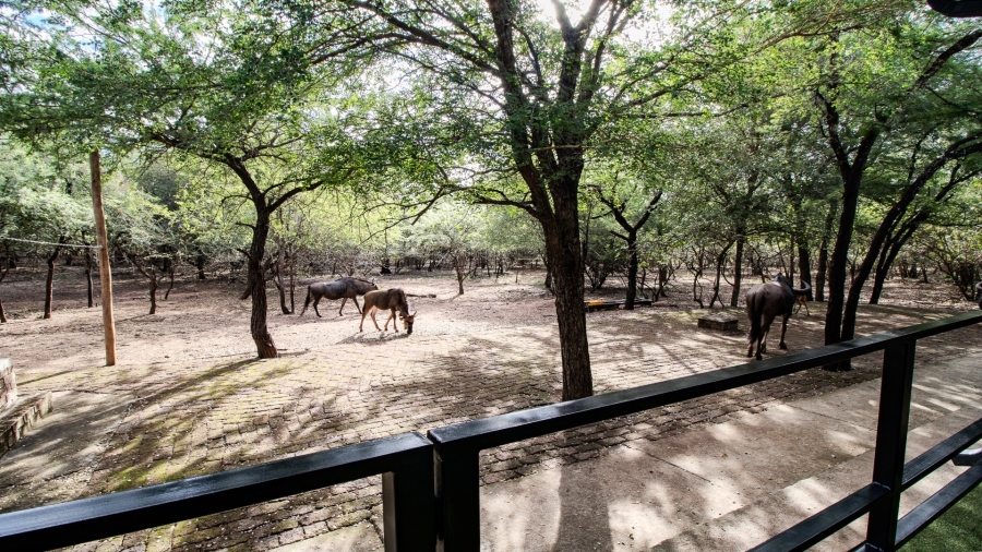 3 Bedroom Property for Sale in Marloth Park Mpumalanga