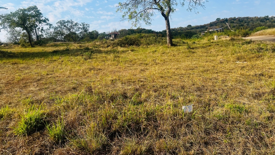 0 Bedroom Property for Sale in Drum Rock Mpumalanga