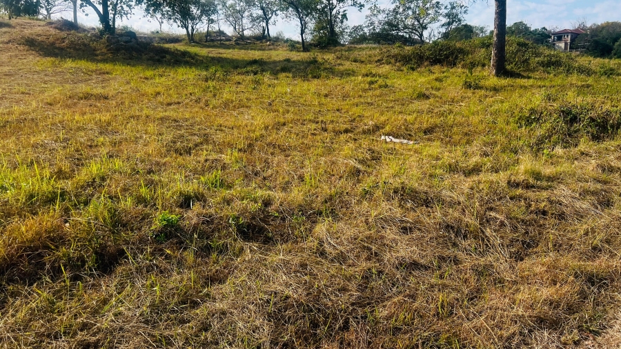 0 Bedroom Property for Sale in Drum Rock Mpumalanga