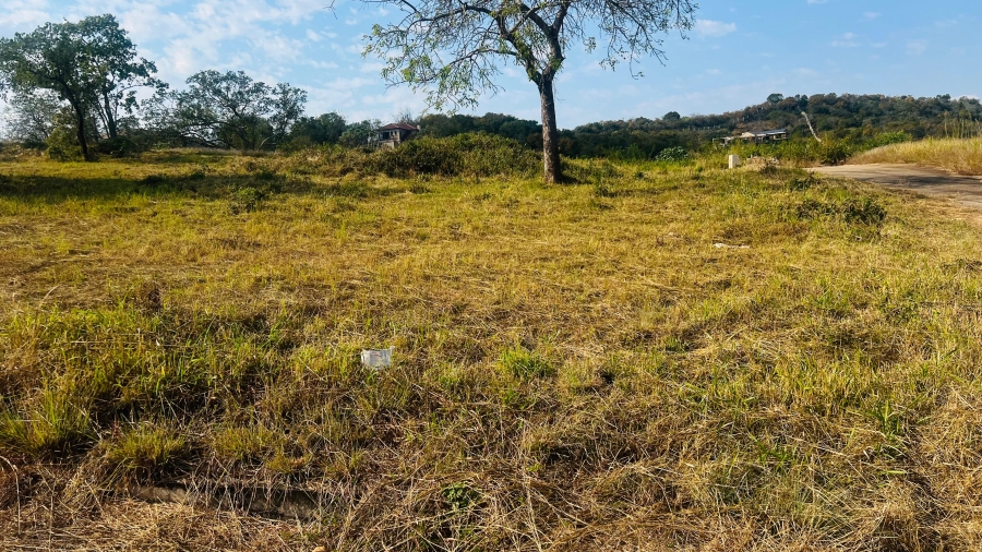 0 Bedroom Property for Sale in Drum Rock Mpumalanga