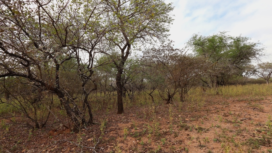 0 Bedroom Property for Sale in Marloth Park Mpumalanga