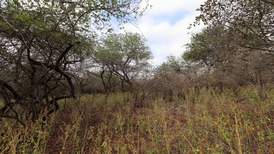 0 Bedroom Property for Sale in Marloth Park Mpumalanga