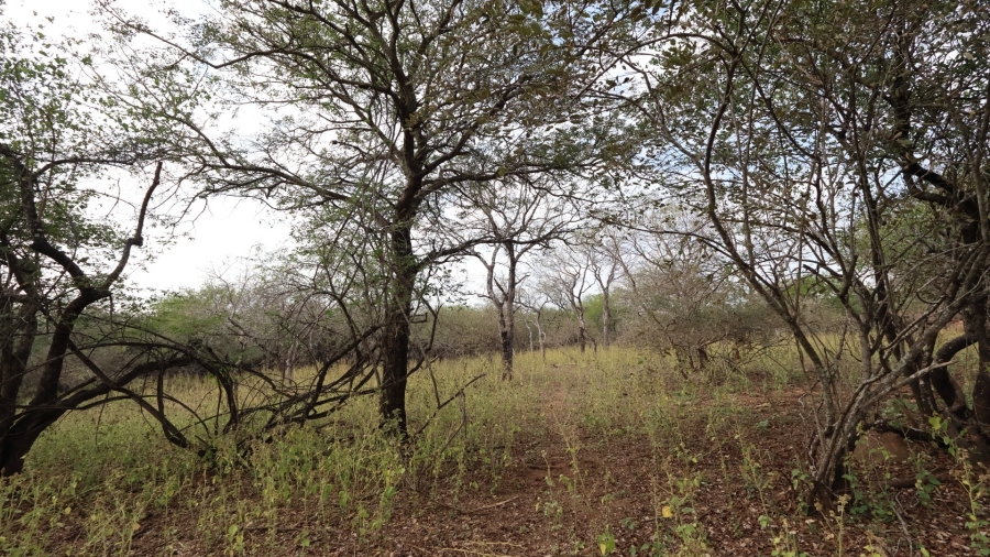 0 Bedroom Property for Sale in Marloth Park Mpumalanga