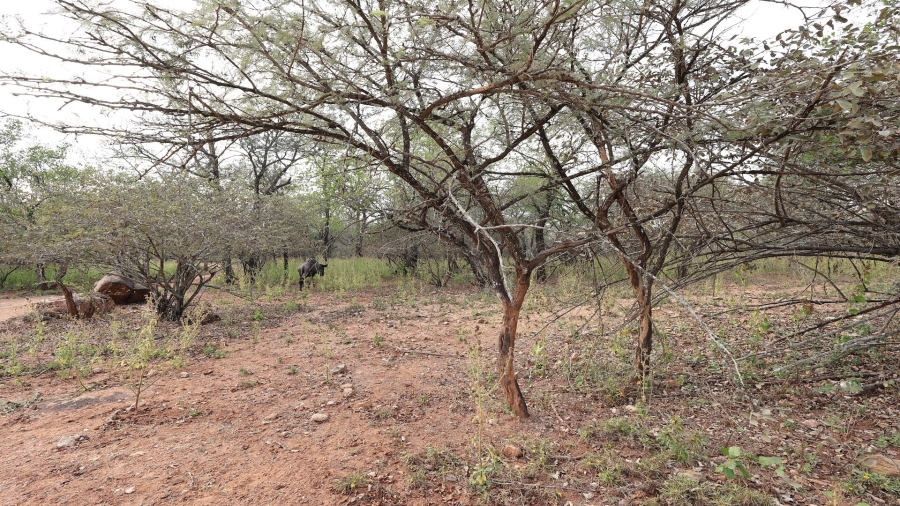 0 Bedroom Property for Sale in Marloth Park Mpumalanga