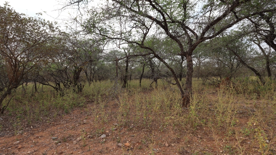 0 Bedroom Property for Sale in Marloth Park Mpumalanga