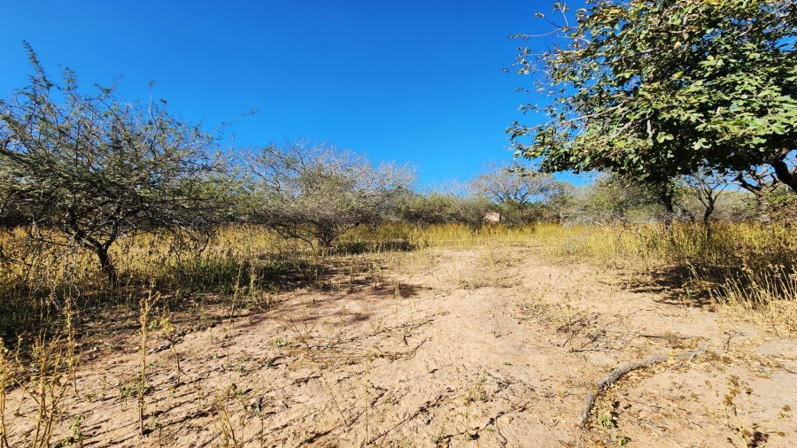 0 Bedroom Property for Sale in Marloth Park Mpumalanga