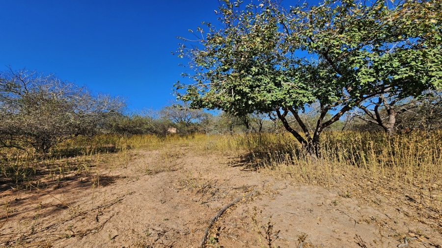 0 Bedroom Property for Sale in Marloth Park Mpumalanga