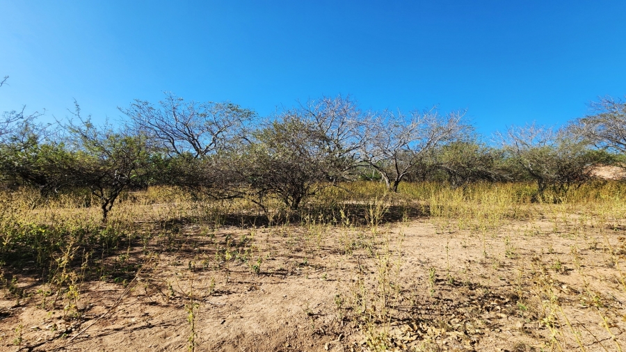 0 Bedroom Property for Sale in Marloth Park Mpumalanga