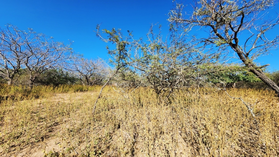 0 Bedroom Property for Sale in Marloth Park Mpumalanga