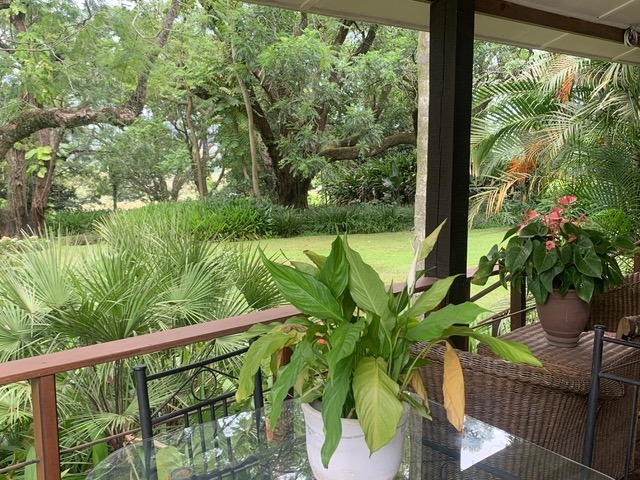 4 Bedroom Property for Sale in White River Mpumalanga