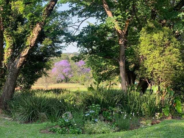 4 Bedroom Property for Sale in White River Mpumalanga