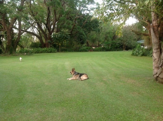 4 Bedroom Property for Sale in White River Mpumalanga