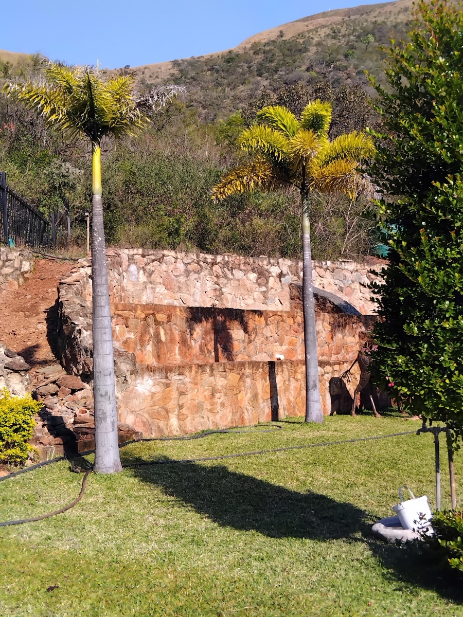 6 Bedroom Property for Sale in Barberton Mpumalanga