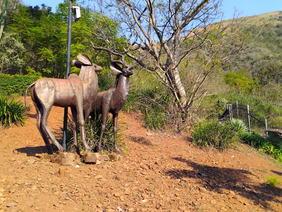 6 Bedroom Property for Sale in Barberton Mpumalanga
