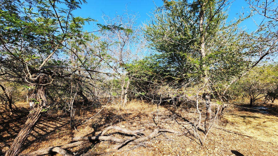 3 Bedroom Property for Sale in Marloth Park Mpumalanga