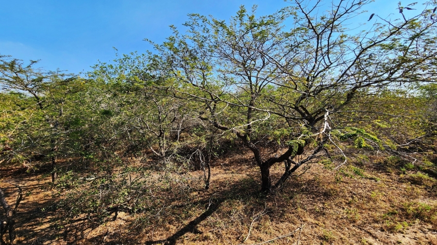 3 Bedroom Property for Sale in Marloth Park Mpumalanga
