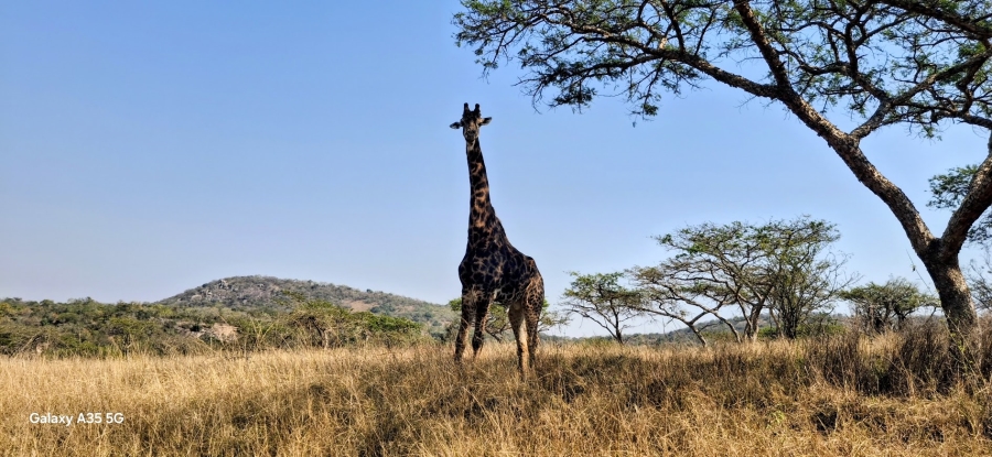 5 Bedroom Property for Sale in Wild Fig Country Estate Mpumalanga