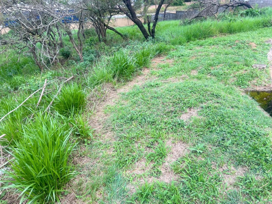 0 Bedroom Property for Sale in Drum Rock Mpumalanga