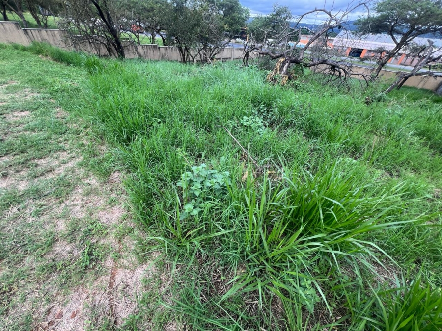 0 Bedroom Property for Sale in Drum Rock Mpumalanga
