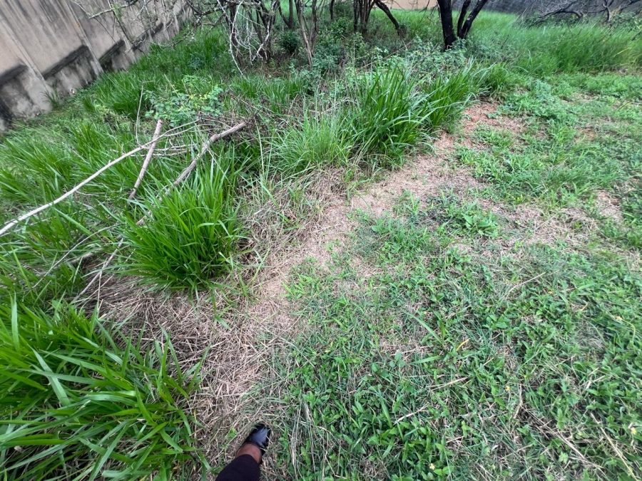 0 Bedroom Property for Sale in Drum Rock Mpumalanga