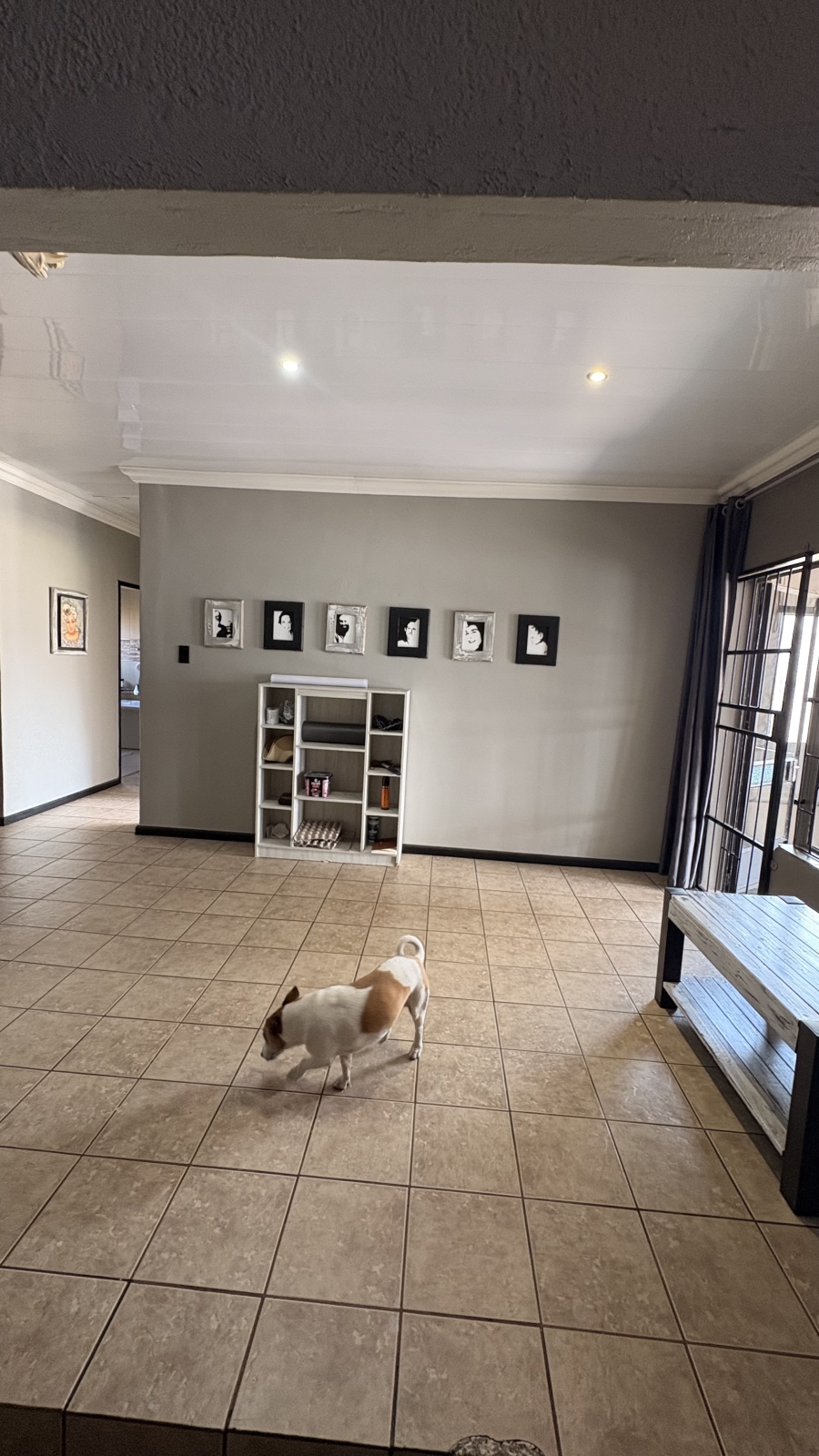 4 Bedroom Property for Sale in New Bethal East Mpumalanga