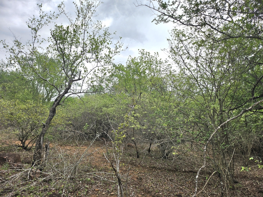 0 Bedroom Property for Sale in Marloth Park Mpumalanga