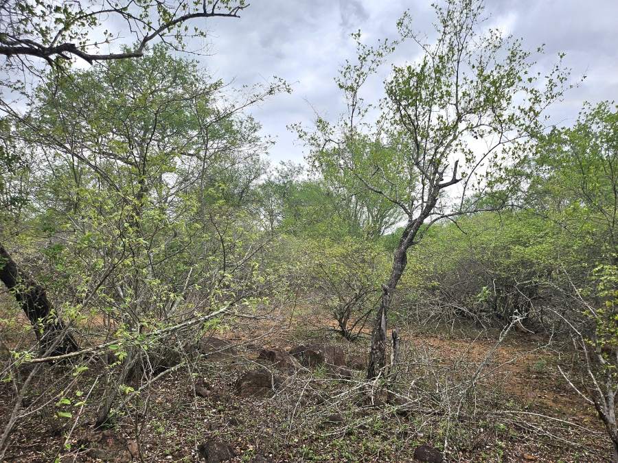 0 Bedroom Property for Sale in Marloth Park Mpumalanga