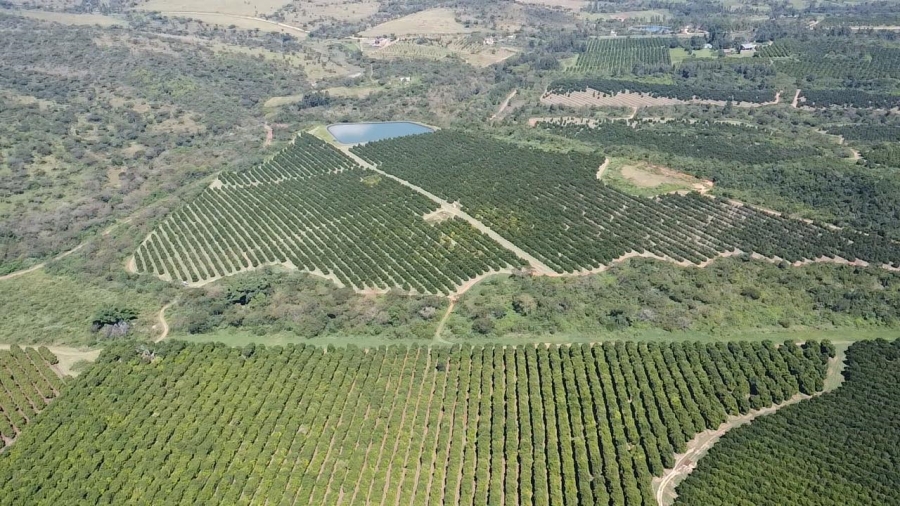 Commercial Property for Sale in Barberton Rural Mpumalanga