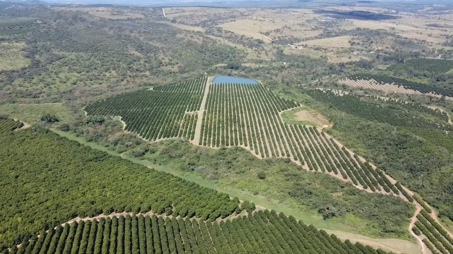 Commercial Property for Sale in Barberton Rural Mpumalanga