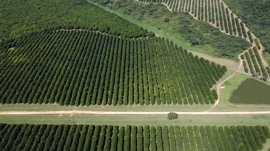 Commercial Property for Sale in Barberton Rural Mpumalanga