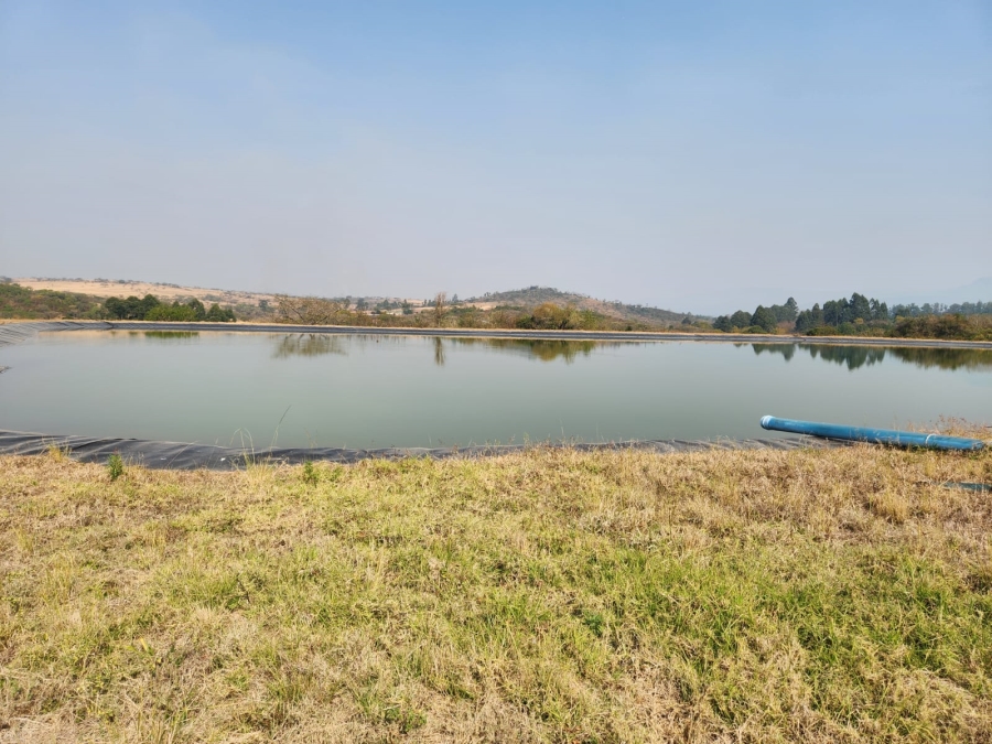 Commercial Property for Sale in Barberton Rural Mpumalanga