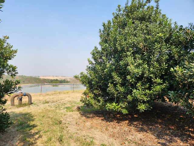 Commercial Property for Sale in Barberton Rural Mpumalanga