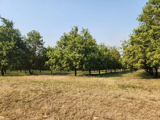 Commercial Property for Sale in Barberton Rural Mpumalanga