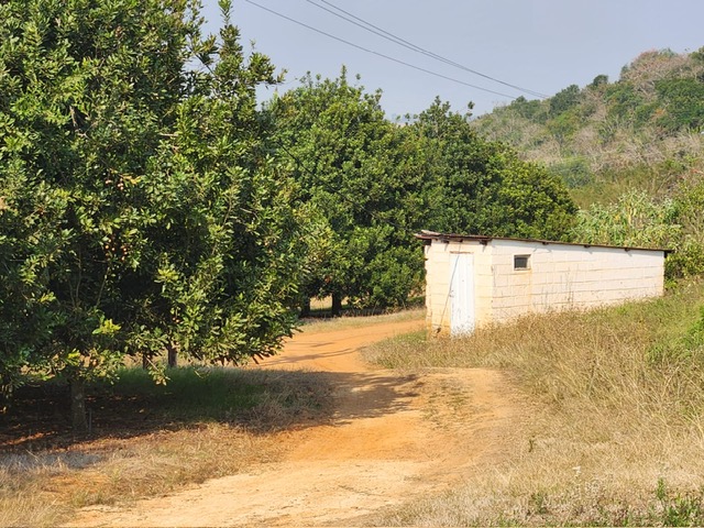 Commercial Property for Sale in Barberton Rural Mpumalanga