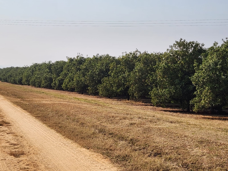 Commercial Property for Sale in Barberton Rural Mpumalanga