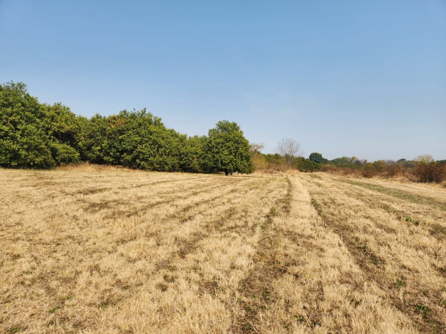 Commercial Property for Sale in Barberton Rural Mpumalanga