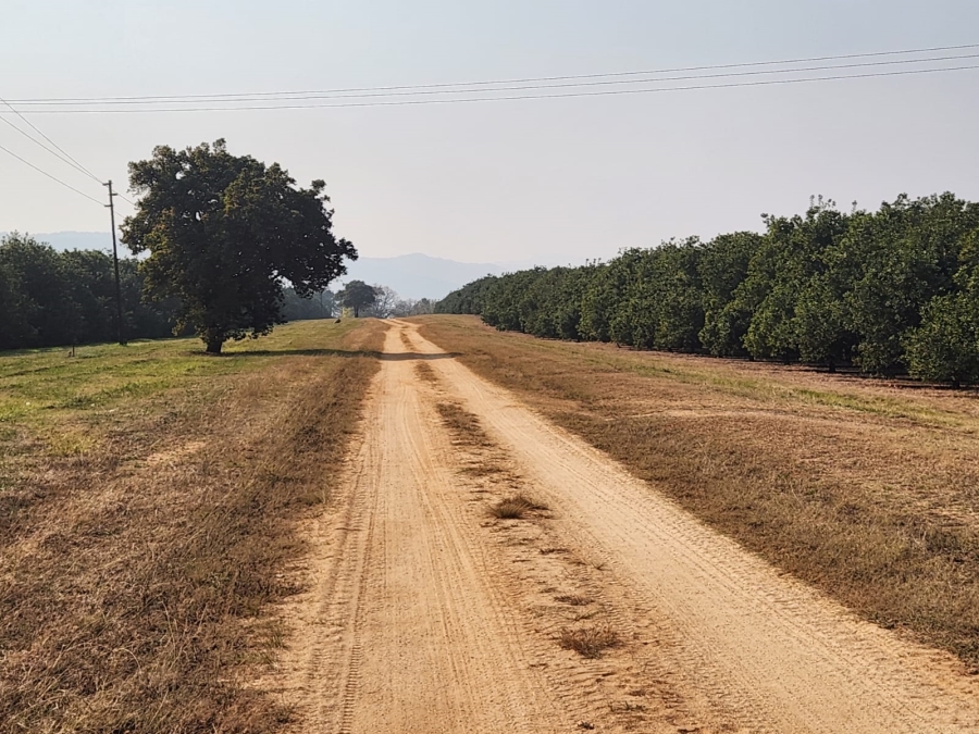Commercial Property for Sale in Barberton Rural Mpumalanga