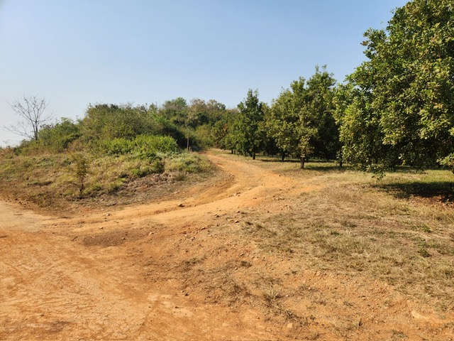 Commercial Property for Sale in Barberton Rural Mpumalanga