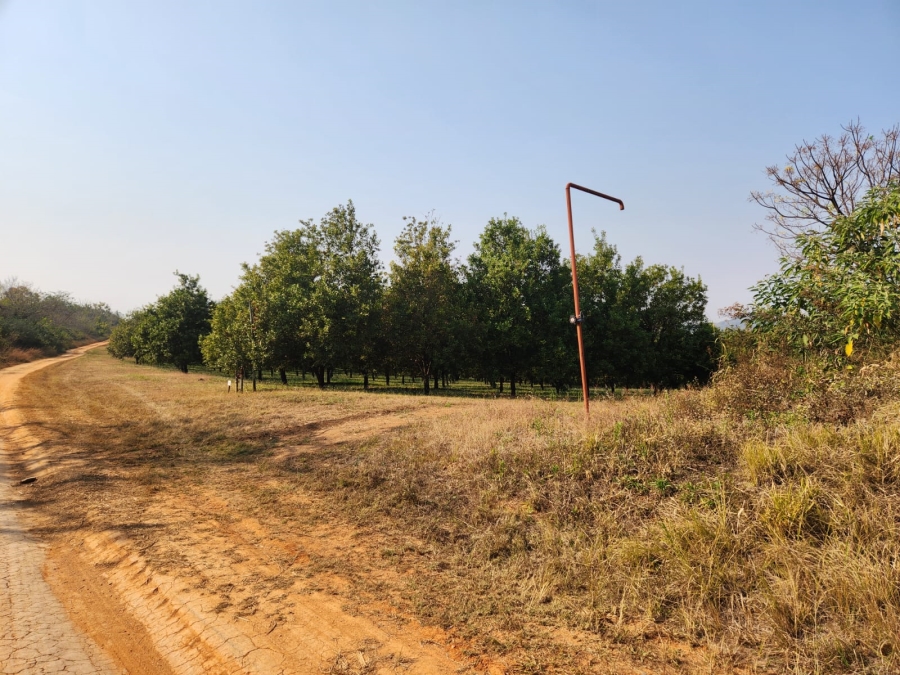 Commercial Property for Sale in Barberton Rural Mpumalanga