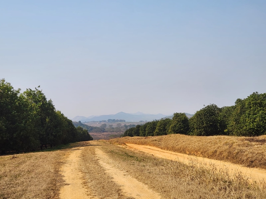 Commercial Property for Sale in Barberton Rural Mpumalanga