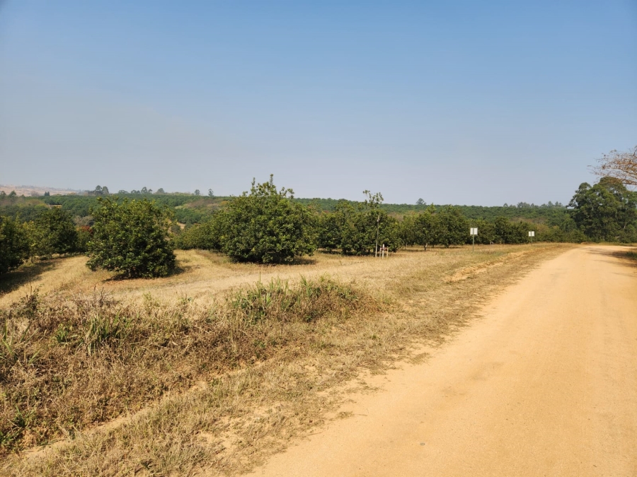 Commercial Property for Sale in Barberton Rural Mpumalanga