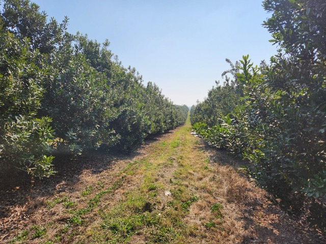 Commercial Property for Sale in Barberton Rural Mpumalanga