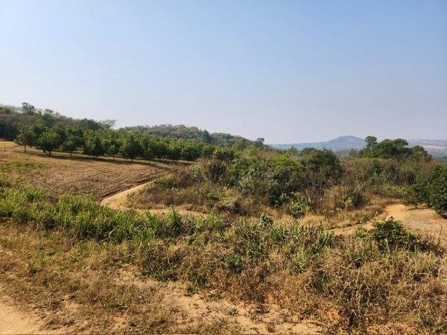 Commercial Property for Sale in Barberton Rural Mpumalanga