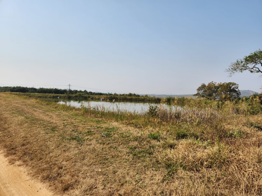 Commercial Property for Sale in Barberton Rural Mpumalanga