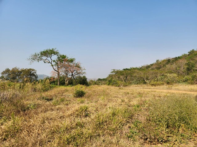 Commercial Property for Sale in Barberton Rural Mpumalanga