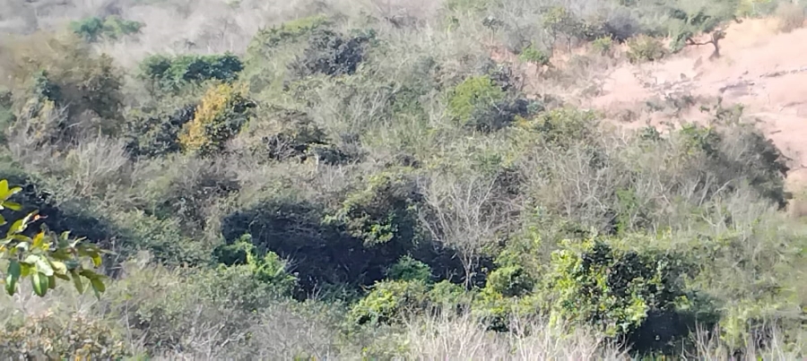 Commercial Property for Sale in Hilltop AH Mpumalanga