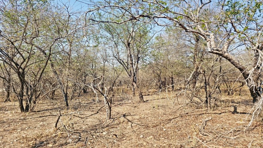 0 Bedroom Property for Sale in Marloth Park Mpumalanga