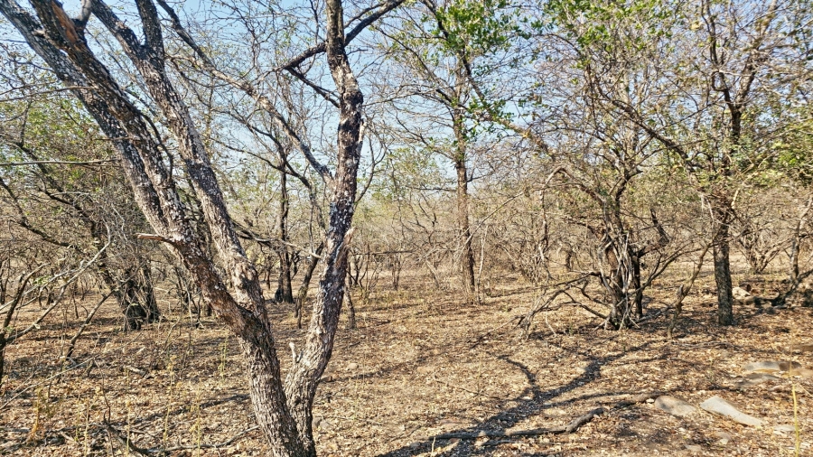 0 Bedroom Property for Sale in Marloth Park Mpumalanga