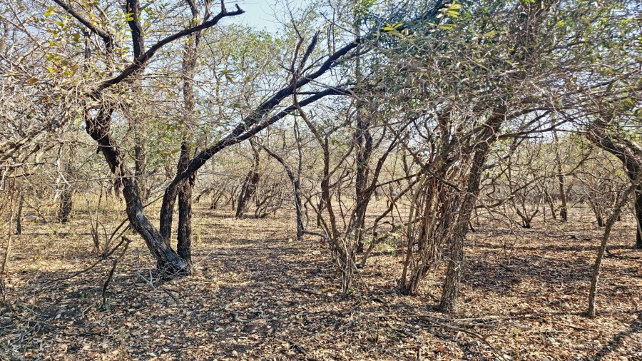 0 Bedroom Property for Sale in Marloth Park Mpumalanga
